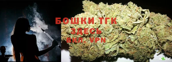 прущие крисы Абаза