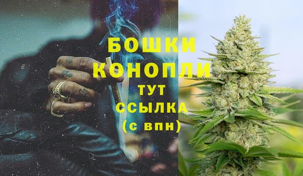 молекула духа Сатка