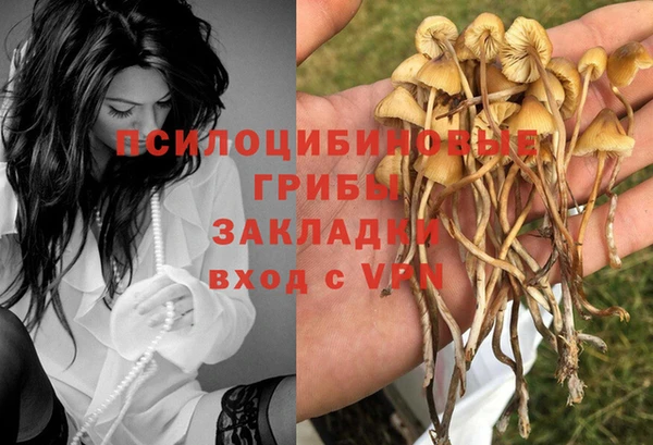 скорость Абинск
