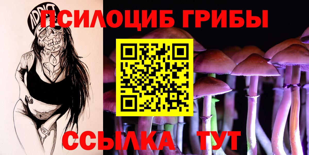 Псилоцибиновые грибы Cubensis  Вход с VPN  Бугуруслан 