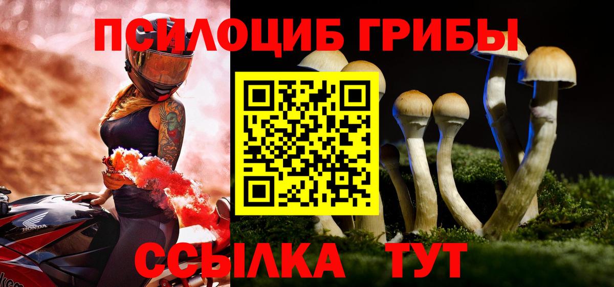 Псилоцибиновые грибы мухоморы Бугуруслан